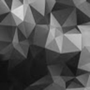 Meet your Posher, Zack